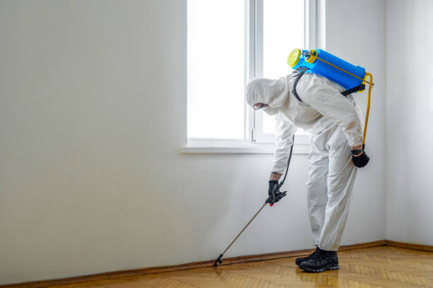 Professional Pest Control in East Newark, NJ